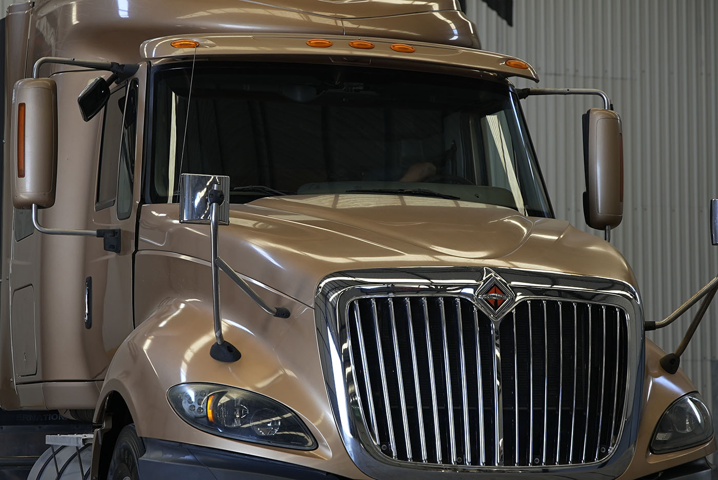 Vista 8